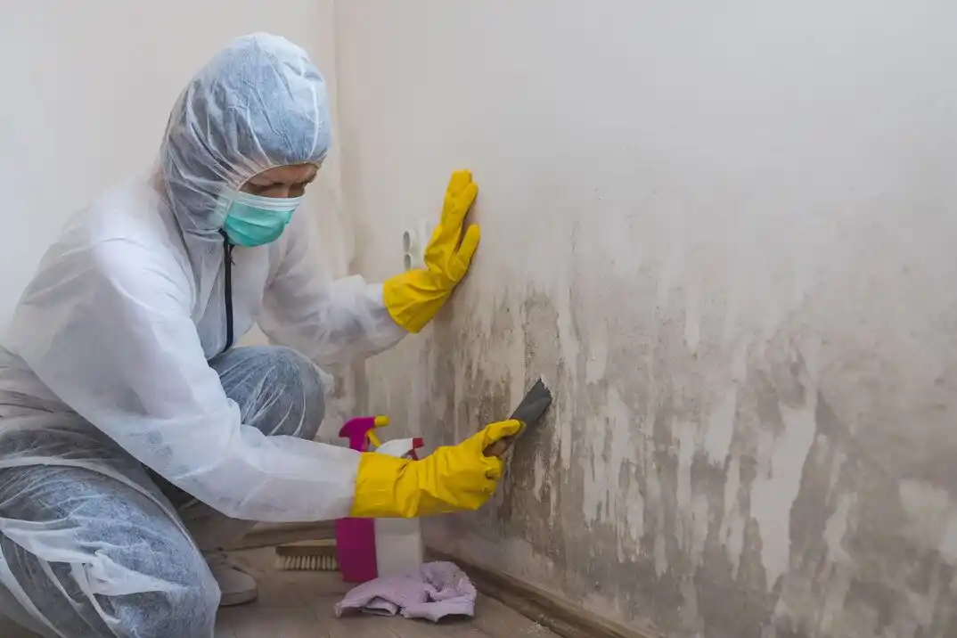 water damage restoration service Roanoke